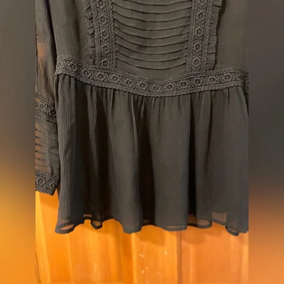 Sundance Very Black Sheer silk Blouse with lace detail. Beautiful Elegant - Picture 5 of 14